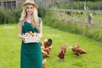 You can't tell a customer your eggs are "new-laid" even if you gathered them an hour prior to the sale.
