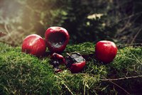 Poisoned apples are a Snow White witch's crafty weapon.
