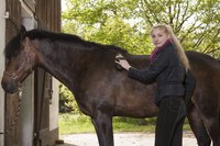 A good brushing keeps foreign matter from under the saddle.