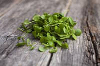 Close-up of watercress leaves