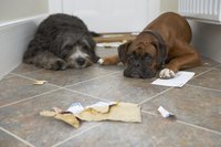 Aluminum oxide finish protects your floors.