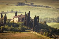 Earth tones in gold, ochre, beige, brown and green bring to mind the natural colors of the Tuscan countryside.