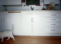 She keeps her tail up as a signal to potential mates.