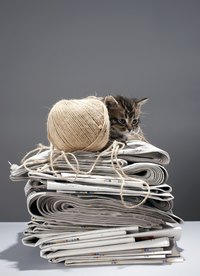 You can make your own litter out of last week's stack of papers.