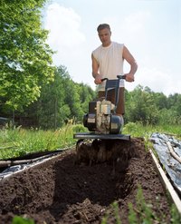 You can add phosphorus when tilling the soil.