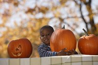 Carry pumpkins by the body to prevent damage to the stem.