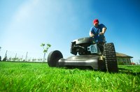 Herbicides are the most effective way to remove unwanted annual bluegrass.