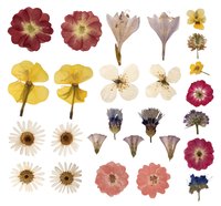 Preserve flower samples in wax paper for a keepsake from each gardening season.