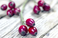 Red rose hips on a wood table.