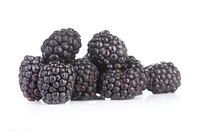 Marionberries are considered the "Cabernet of blackberries."