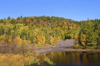 Trees on the Upper Peninsula change earliest.