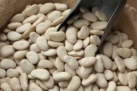 Butter beans are also known as large lima beans.