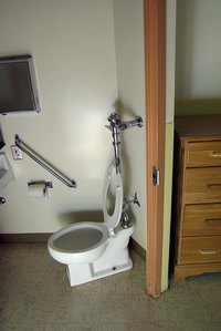 Water bugs may enter your home through the toilet.