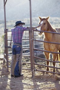 Round yards must be sturdy to keep large animals in.