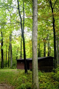 Get reacquainted in a cabin tucked in Michigan's hardwood forests.