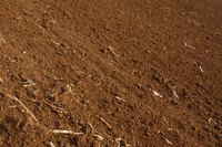 Soil is more than just the dirt your kids drag into the house.