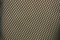 Use hardware cloth to cover the sides and top of your flight cage.