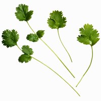 Fresh herbs, such as cilantro, add brightness to egg dishes.