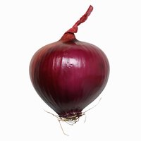 Cuttings including the root can be used to grow new onions.