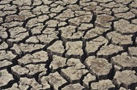 The soil in this picture contains a type of clay that shrinks when dry and swells when wet.