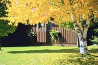 Conceal the septic mound in your backyard