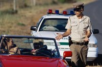A police officer is talking to a couple in a car.