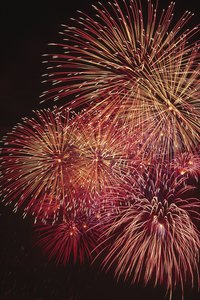 Fireworks -- pretty to your eyes, harsh on your dog's ears.