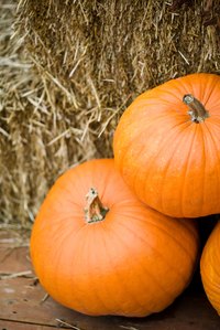 Pumpkins can be used to make a sweet-tasting brandy.