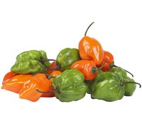 Aji dulce peppers start in green but age to orange.