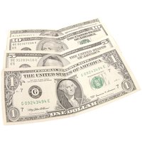 Use your crafting skills to turn greenbacks into green bouquets.