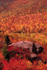 The mountains along the Blue Ridge Parkway hide many underground caverns.