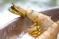 Peel and devein fresh shrimp before cooking.