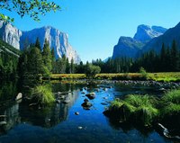 Most activity in Yosemite National Park centers around the valley.