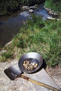 Panning was the most common method for finding gold.