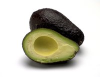 The avocado tree is filled with historical symbolism.