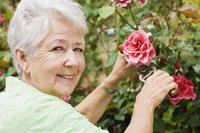 Seniors should consider security, maintenance and general lifestyle when deciding whether to own or rent.