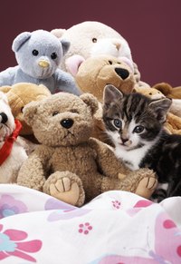 Choose a neglected stuffed animal to re-purpose as a cell phone cover.