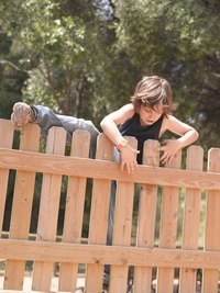 Gaps in fencing lessen the risk of wind damage.