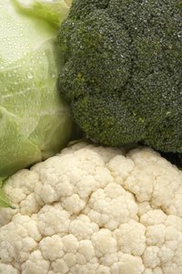 Cauliflower, broccoli and cabbage are all part of the Cruciferae vegetable family.