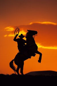 Items like cowboy hats and cowboy boots are traditionally associated with legendary cattle hands.