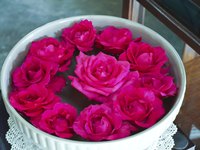 Pink rose blooms floating in a white ceramic decorative bowl.