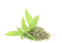 Fresh and dried lemon verbena leaves both have a pleasing fragrance.