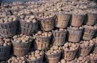 Store mature rather than young potatoes, as they have tougher skins.