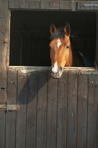 A simple run-in shed can provide shelter from a storm.