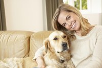Woman holding on to dog on couch