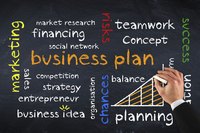 Find a business plan tailored to investors on vFinance.
