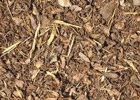 Bark Mulch