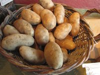 A basket filled with Russet poatoes.