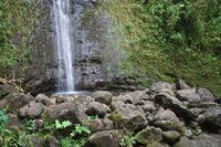 The short and easy Manoa Falls Trail is perfect for a family hike.