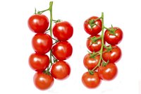 Cherry tomatoes grow easily in upside-down planters.